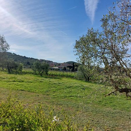 Vento E Mare Bed & Breakfast Riotorto Luaran gambar