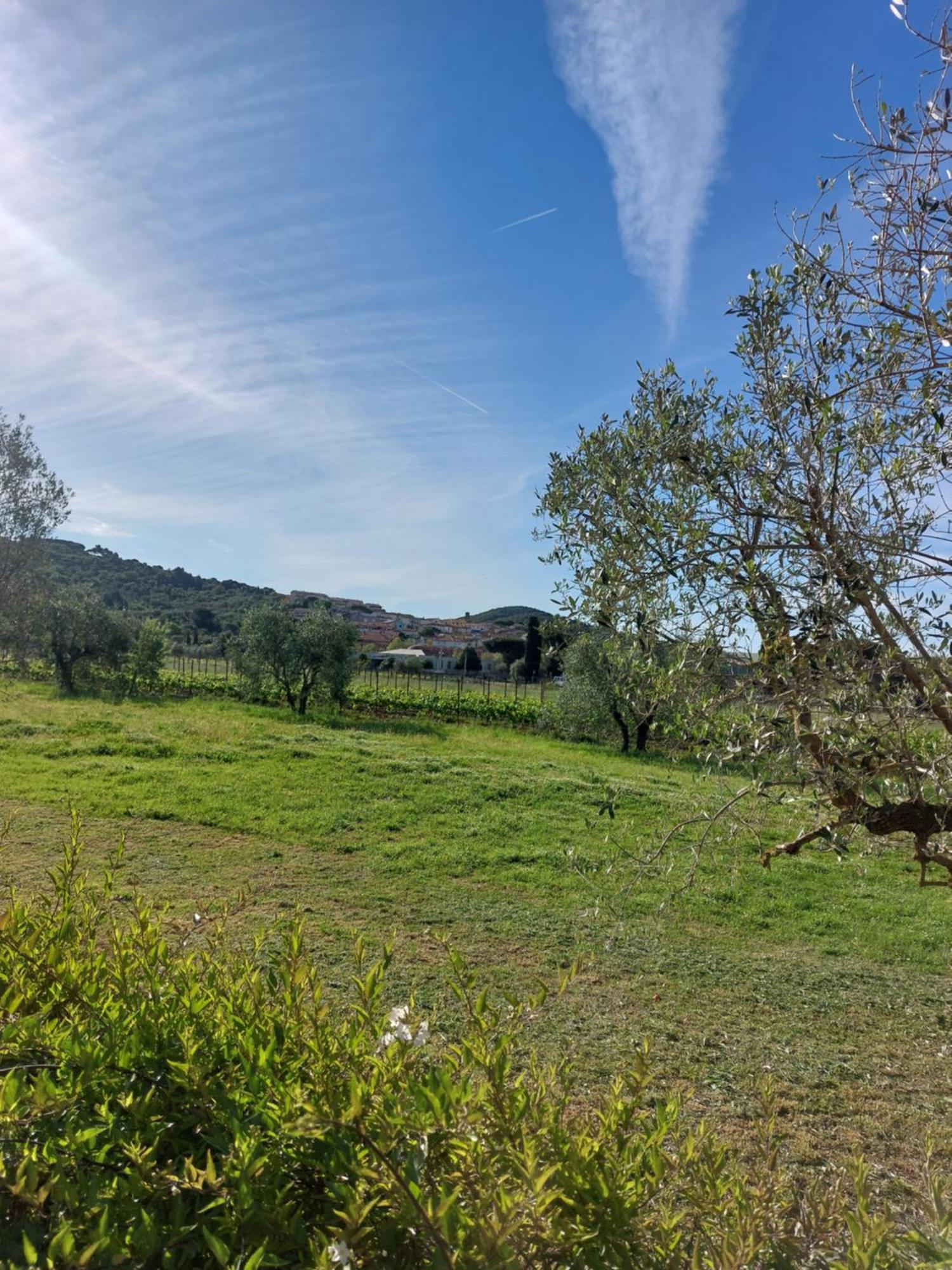Vento E Mare Bed & Breakfast Riotorto Luaran gambar